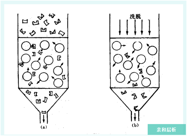 電子期刊3.png